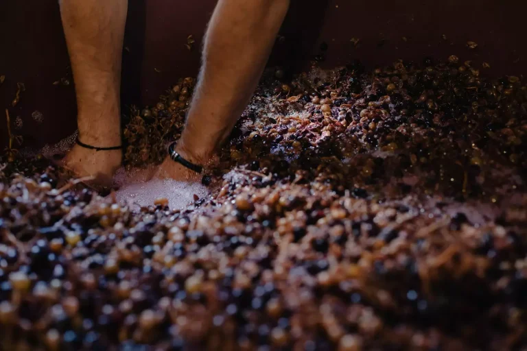 BodegasFrontonio-21