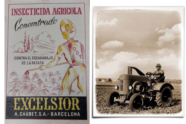 Industrialización del proceso del vino