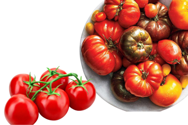 Tomates de supermercado vs tomates auténticos de pueblo